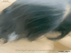 香港女母狗SM调教实录_激情口交滴蜡肛交打桩机全过程