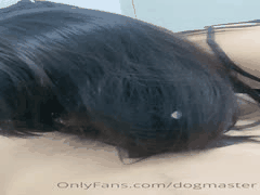 香港女母狗SM调教全过程_性奴口交滴蜡肛交激情打桩