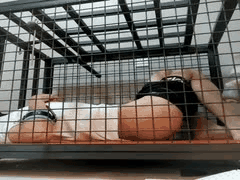 维妮维妮女王黑白网袜小皮鞋羞辱狗奴_狗笼强制撸管震动棒龟头责罚欲仙欲死