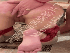 Master Mike大神1V6：重度SM调教性虐多P饲养大奶女奴视频合集88部