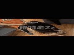 字母圈多人SM调教：黑白DOM老Zz巨乳骚母狗制服捆绑打屁股淫乱