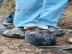 户外SM调教：暴力美学泥巴鞋刷与骑马训练