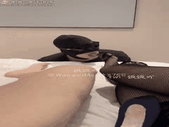 00后顶级妻主NTR高手：家养重度绿奴，绿帽贱狗收割机