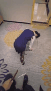 度先生推特私拍_土豪大神调教失足人妻精彩合集_4