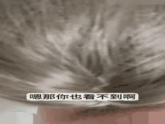 极品白虎少妇出轨献身！为女儿成绩穿情趣蕾丝勾引，疯狂后入骚穴直冲女儿房门