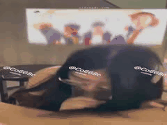 深圳绿帽夫妻私拍曝光：超极品媚黑眼镜人妻福利诱惑！_1