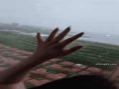 顶级淫妻博主曼曼奇露脸多P调教第三部：老婆户外露出狂野