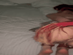 诱惑少妇情趣内衣私密秀