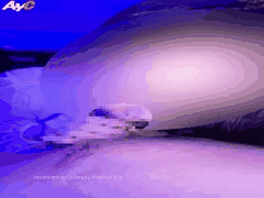 Myfans人妻博主かる激情合集3：巨根摧毁素人妻子的销魂3P狂欢