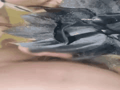 重磅淫妻博主寻欢作乐：超骚丝袜调教啪啪激战4