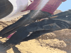 91玉儿早期人妻自慰大秀，高清修复多场景大胆啪啪