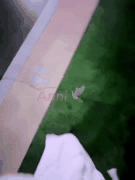 海盗船长与海字辈家族姐妹的制服丝袜群P趴体精彩合集