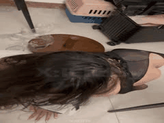 女大学生油亮黑丝诱惑：校园丝袜大秀