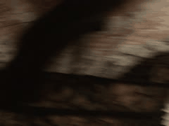 性感情趣内衣诱惑秀：火辣曲线尽显