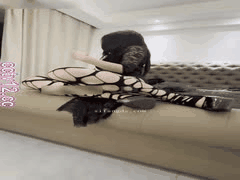 穿上情趣制服后直接飙东北话，反差萌太上头了！