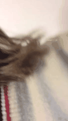 感人动漫角色小妲己的泪水瞬间