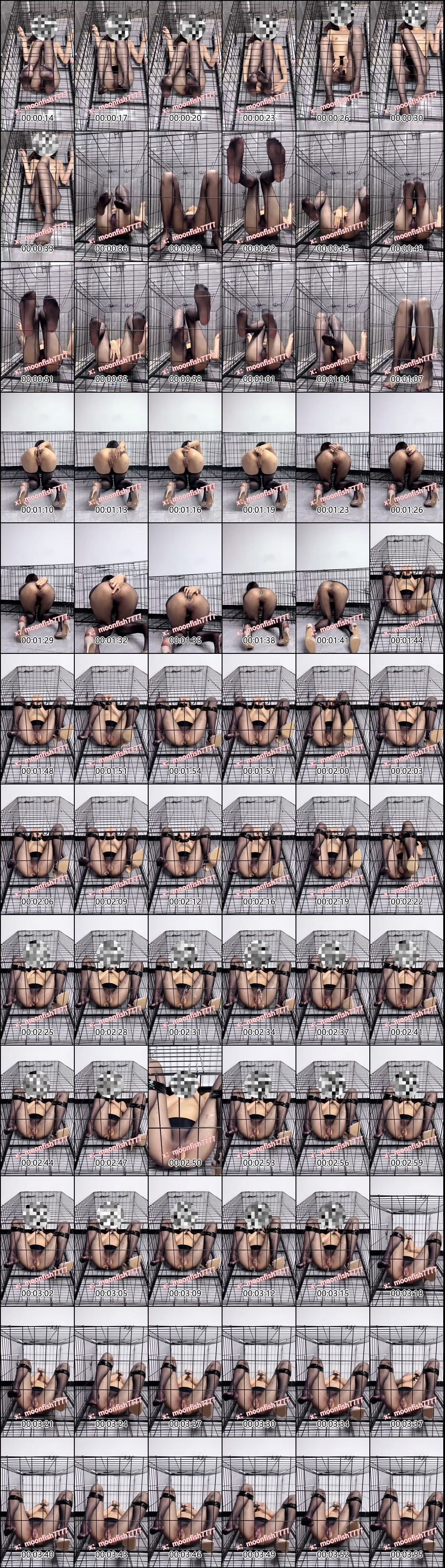 圈养小母狗与月亮鱼moonfish7777的跳蛋高潮挑战