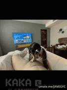 推特KAKAE极品反差小母狗露脸福利_无套内射高潮狂野性爱体验