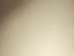 东南亚灰产博彩社区的反差婊母狗_精品诱惑让人血脉喷张欲火焚身_2