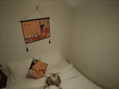 调教娇小萝莉变身淫荡母狗_白金旗袍边走边猛插_窗台狂干直至床上内射喷潮