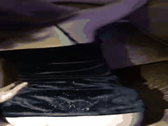 大二极品女友惊人反差_真实母狗曝光全过程