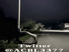 反差婊爱吃菠萝户外露出捆绑做爱_公厕商场公园全曝光