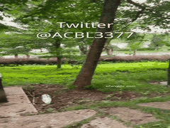 爱吃菠萝反差婊户外露出狂欢_公厕商场公园捆绑激情做爱_1