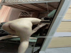 反差学生小水宿舍自慰 骚叫BB好痒欲罢不能