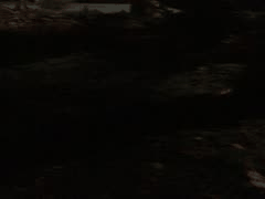 反差婊爱吃菠萝户外公厕商场公园露出捆绑激情做爱_1