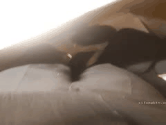 清纯大学生福利姬黄晓盈男厕所大胆露出自慰母狗秀