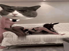 土豪约炮调教反差婊空姐：黑丝高跟制服诱惑狂野