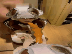 土豪调教反差婊空姐：母狗黑丝高跟制服诱惑