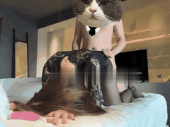 土豪调教反差婊空姐：黑丝高跟制服诱惑约炮