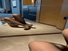 土豪约炮调教反差婊空姐：黑丝高跟制服母狗诱惑