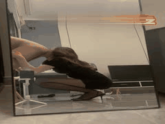 土豪约炮调教反差母狗：空姐制服黑丝高跟诱惑