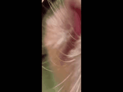 李恩秀推特反差母狗：勾引外卖员卖逼狂欢的一天