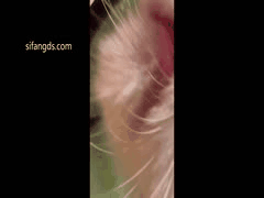 李恩秀反差婊魔鬼身材曝光！勾引外卖员啪啪Vlog，极品网红卖逼记录全公开