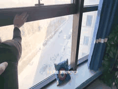 芬姬夏妓：骚浪淫妻野外露出喷水内射高潮狂欢