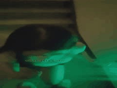 老虎菜调教极品反差幼师！户外楼梯露出口交吃鸡视频全曝光