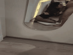 镜前极品反差婊美人后入狂干，太骚浪淫荡了！