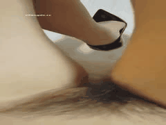 端庄人妻床上惊人反差：手指揉搓肥美阴户，大屁股骑假阳具狂插，淫水四溅