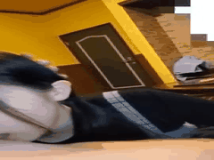 温泉朦胧美少女超级听话_FC2-PPV口交全过程极致配合