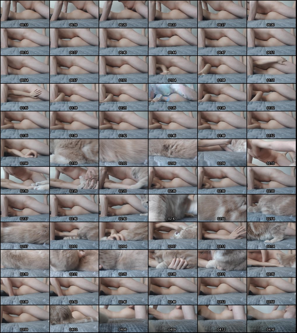 极品少妇露脸口交毒龙 淫叫诱惑性瘾大发