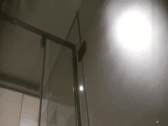 东北少妇白虎专业口交偷拍，水声不断超敬业！