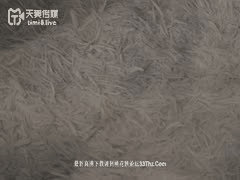 天美传媒高品质国产剧情大片第1集
