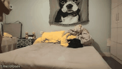 天真小少妇陷油腻男甜言蜜语 主动骑乘浪叫不止 沉迷激情快感欲罢不能