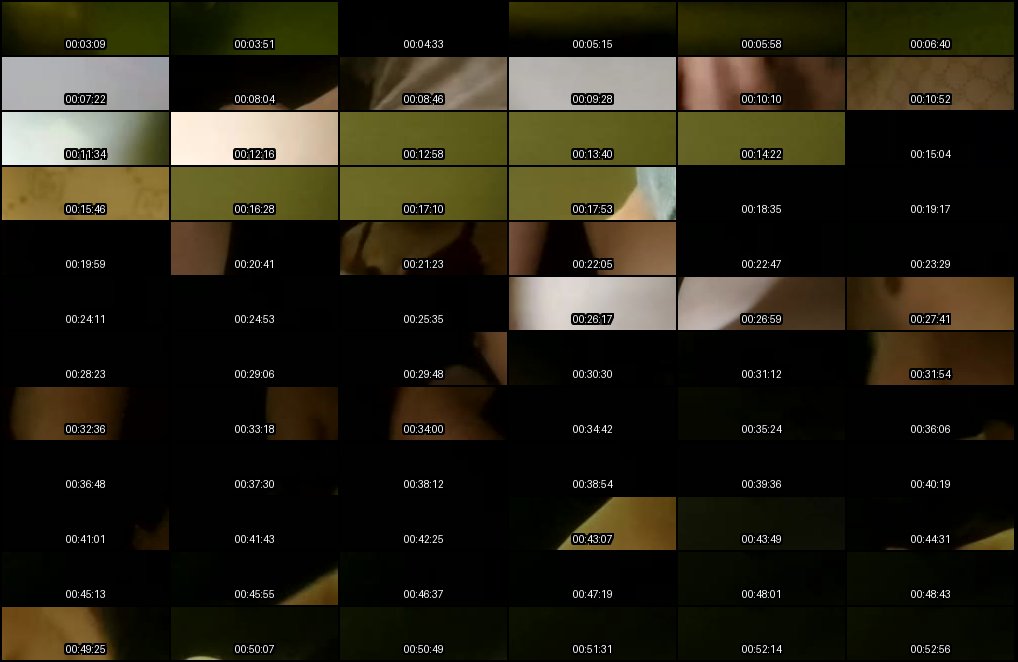 凯迪拉克顶级足浴天堂_绝色美乳技师贴身按摩诱惑全过程合集