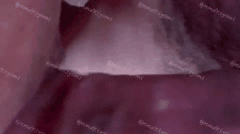 极品身材小ki与男友激情啪啪啪超燃合集_火辣曲线让人血脉喷张欲罢不能