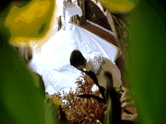 大学情侣狂野夜_爱笑美女跪舔男友巨根_潮吹群P学生萝莉高潮喷射