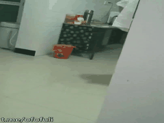 极品绿茶女李煜约炮自拍狂野自慰口爆高潮全过程让你欲罢不能